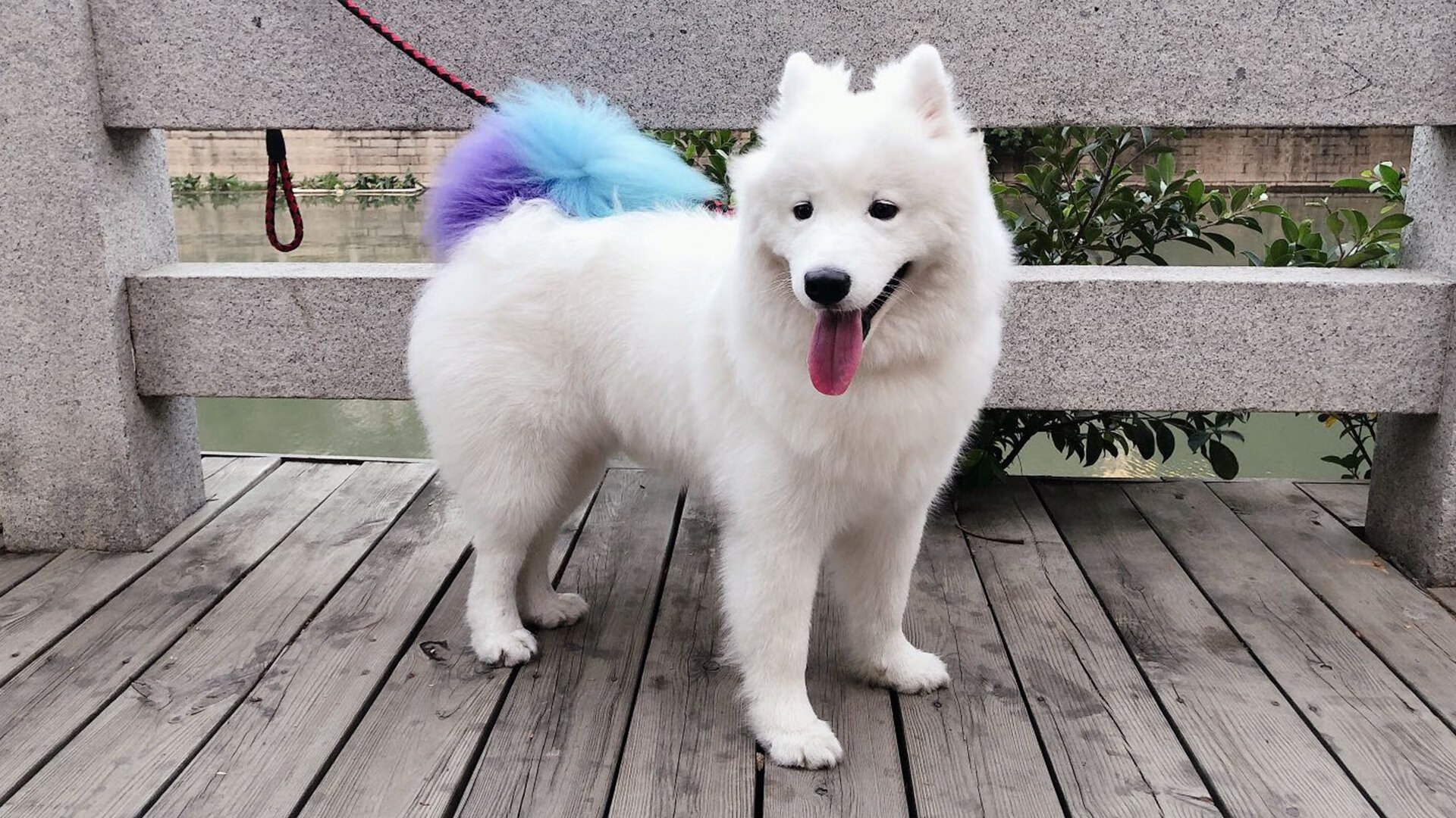 开云网址入口-_未来运动机器人：智能助力运动训练_，未来多功能机器人