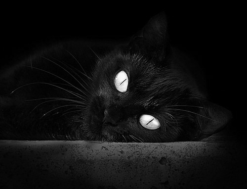 开云官网APP下载-_极光穿越跑：光影中追逐梦想_，极光的越野性能怎么样