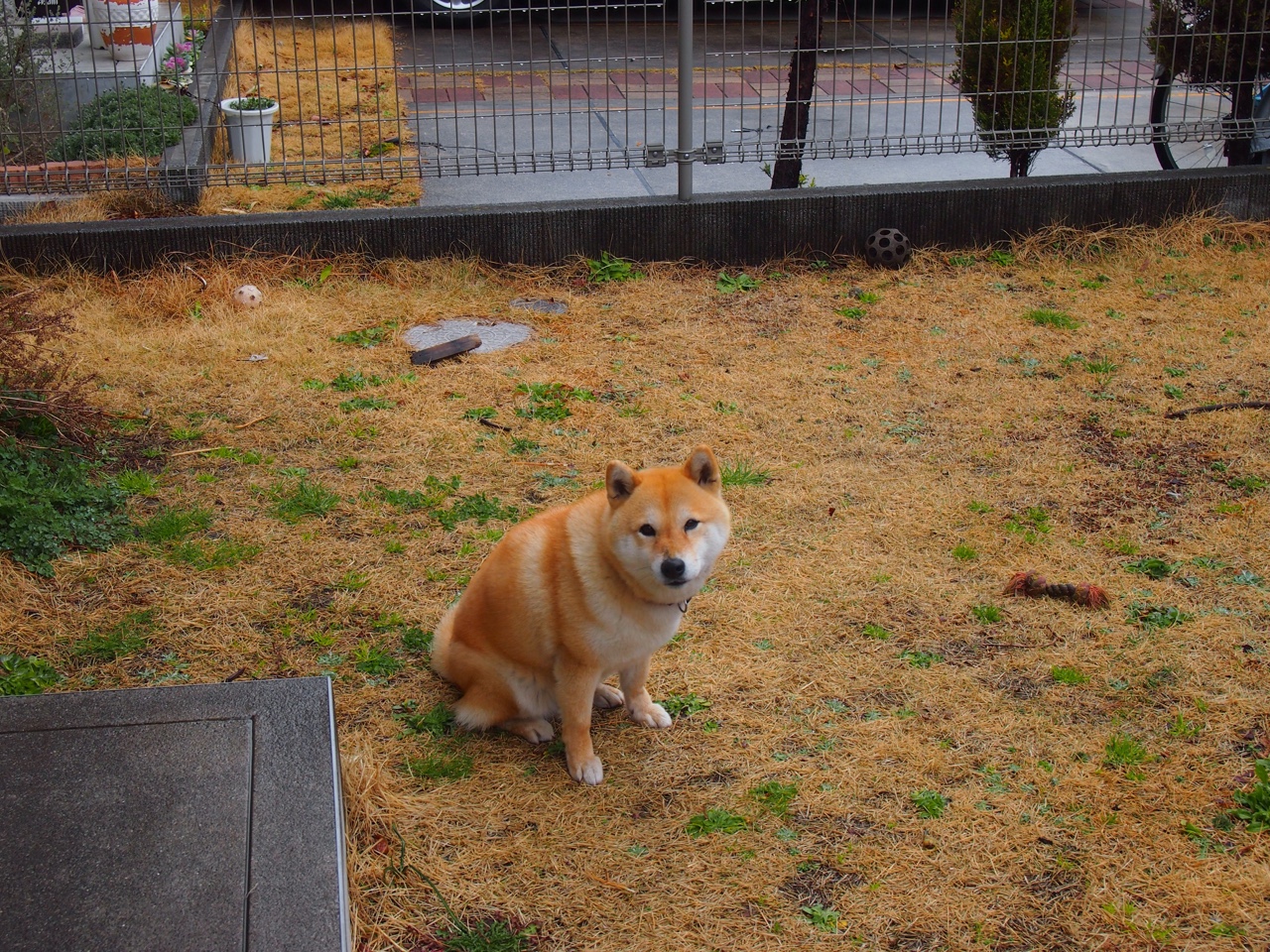 开云体育官方网站登陆-《《守望先锋》新地图“天梯”正式加入》，守望先锋全新地图