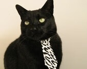 开云体育视频直播-上海海港主场大胜，稳居积分榜首，上海海港 主场