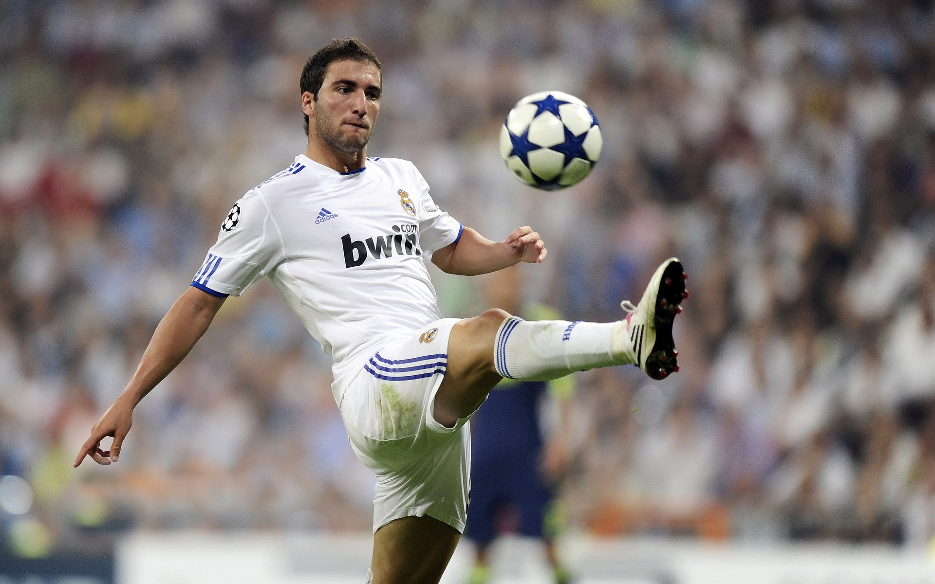 开云综合服务-球迷庆祝日本首次世界杯预选赛胜利